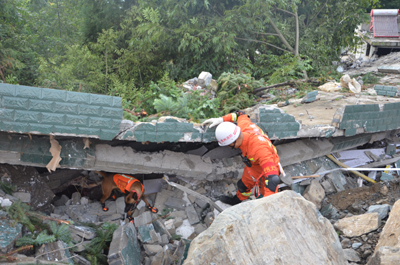 1504180518133471.jpg 8712a12f-8b58-4bc8-9c46-b27fa8078607.jpg